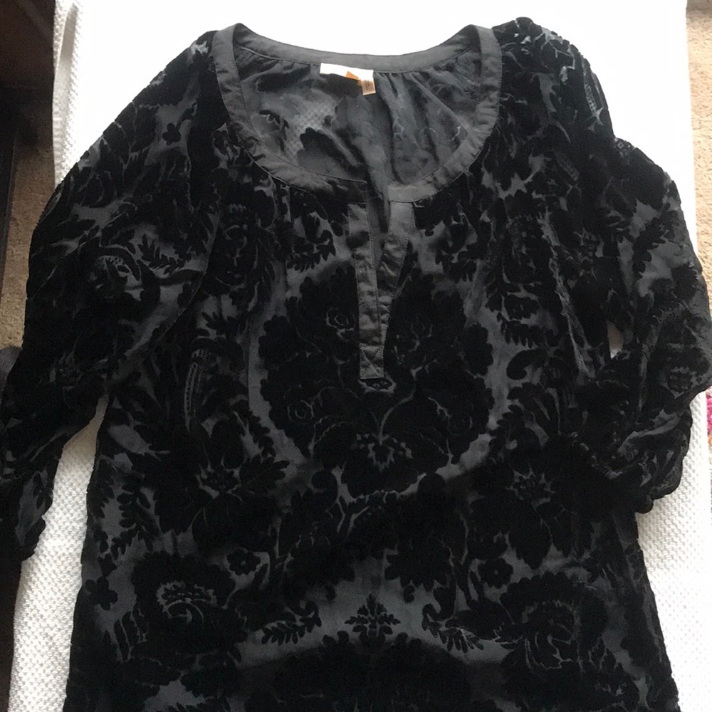 Meadow Rue velvet sheer ¾ sleeve top